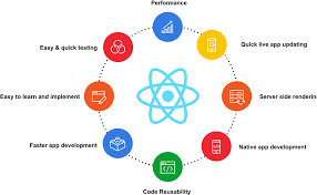 ReactJS Development